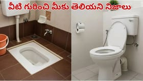 ఇండియన్ vs వెస్ట్రన్ టాయిలెట్.. మీకు తెలియని అసలు నిజాలు..