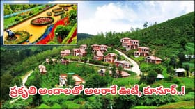 ఊటీ-కూనూర్ టూర్‌కు సూపర్ ఆఫర్.. హైదరాబాద్ నుంచి 6 రోజుల ప్యాకేజీ