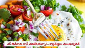 ఎగ్ తినేవారు నాన్ వెజిటేరియన్సా?.. శాస్త్రవేత్తలు చెబుతున్నదిదే