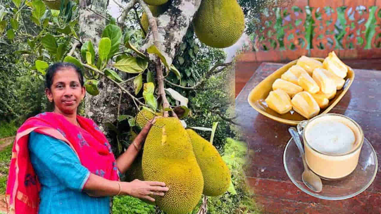 వ్యర్థాల నుంచి కోట్లాది రూపాయల వ్యాపారం.. పనస గింజలతో కాఫీ తయారు చేసి అదరగొడుతున్న కేరళ మహిళ!