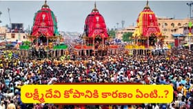 జగన్నాథుడు లక్ష్మీదేవికి రసగుల్లా తినిపించే వేడుక.. ఈరోజు యాత్ర..