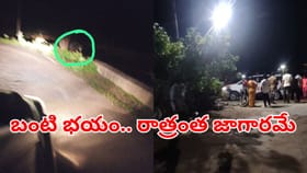 అర్ధరాత్రి గ్రామంలోకి ఎంట్రీ ఇచ్చిన ఊహించని అతిథి.. ఉలిక్క పడ్డ జ