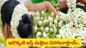 వర్షాకాలంలో మల్లెపూలు విరివిగా పూయాలంటే ఇదొక్కటి ఇవ్వండి..