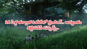 14 ఏళ్ల తర్వాత ఓటీటీలోకి సూపర్ హిట్ సెన్సేషన్..