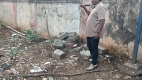 ఎయిర్ పోర్ట్, రైల్వే స్టేషన్‌లో పాములు.. భయంలో జనం