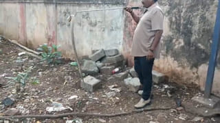 బాబోయ్ పాములు..! ఎయిర్ పోర్ట్, రైల్వే స్టేషన్‌లో.. వీడియోలు చూస్తే వణుకు పుట్టాల్సిందే..