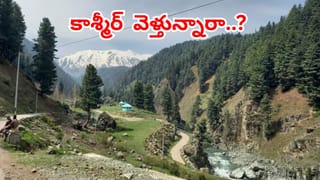 కాశ్మీర్ పర్యాటక ప్రాంతాల్లో ఆంక్షల మోత.. ఆ నాలుగు చోట్ల క్యాంపింగ్, ఆఫ్-రోడింగ్‌పై నిషేధం!
