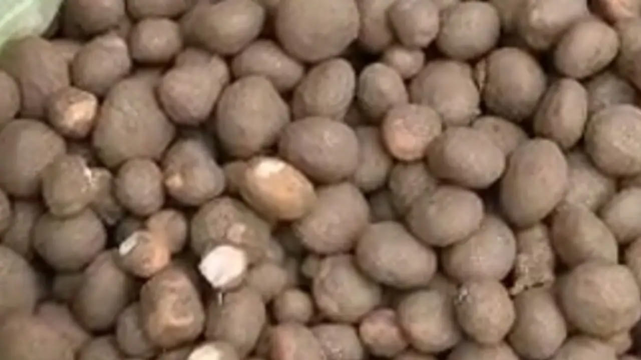 Katuruva