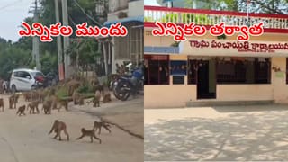 Telangana: ఇచ్చిన మాట నిలబెట్టుకున్న సర్పంచ్.. ఆ గ్రామంలో కోతులను ఎలా పట్టుకున్నారో చూడండి!
