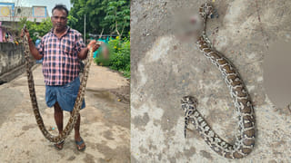 పొద్దుపొద్దున్నే కాలికి ఏదో మెత్తగా తాకింది.. ఏంటా అని లైట్ ఆన్ చేసి చూస్తే..