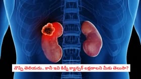 నొప్పి తెలియదు.. కానీ ఇవి కిడ్నీ క్యాన్సర్ లక్షణాలని మీకు తెలుసా?