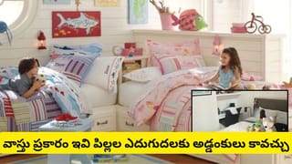 Vastu Tips: పిల్లల గదిని ఇలా అలంకరిస్తే మంచిది.. కానీ ఈ వస్తువులు మాత్రం అస్సలు ఉండకూడదు..!