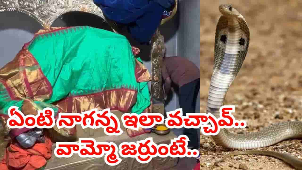Watch: ఆలయ గర్భగుడిలో ప్రత్యక్షమైన నాగుపాము.. చివరకు ఏం జరిగిందో తెలుసా..?