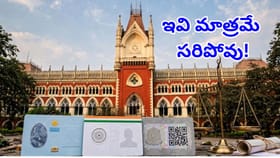 ఆధార్, ఓటర్ ఐడీతోనే పౌరసత్వం రుజువు కాదు.. కలకత్తా హైకోర్టు