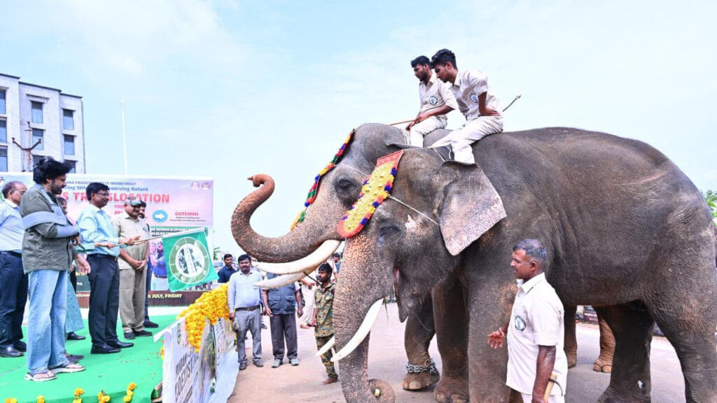 Kunki Elephant Mission
