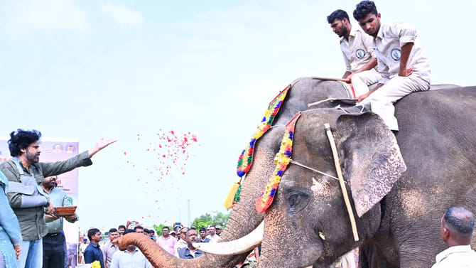 కీలక ఆపరేషన్‌కు రెడీ అయిన కుంకీలు.. ఎక్కడంటే..?
