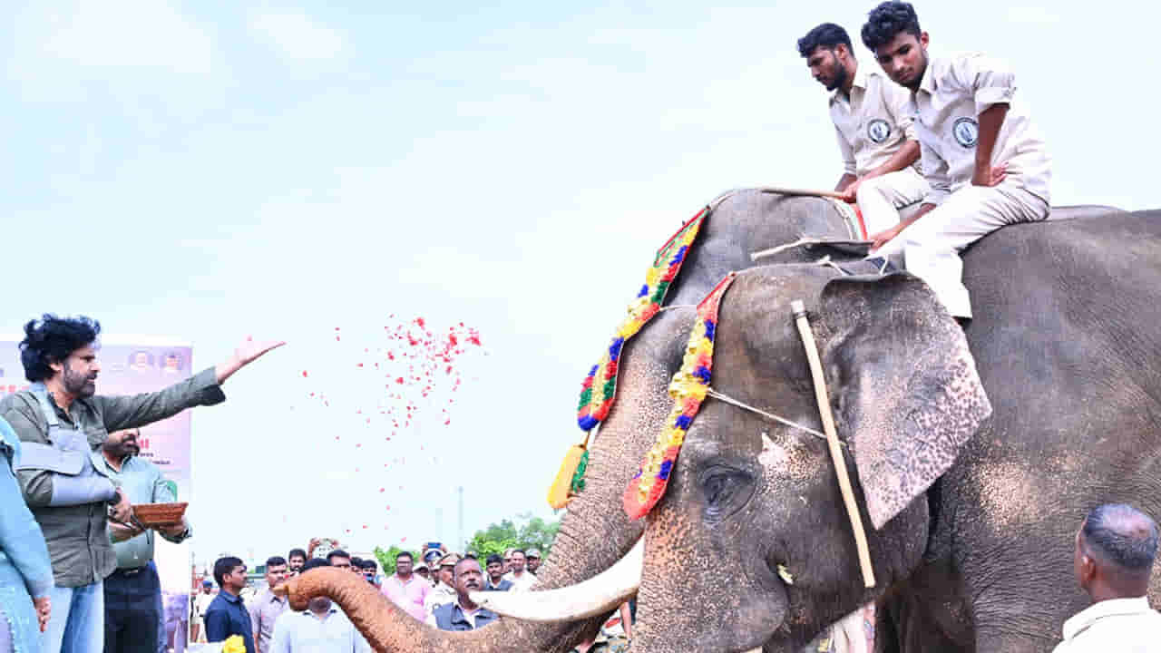 డిప్యూటీ సీఎం పవన్కు రిపోర్టింగ్ చేసిన కుంకీలు.. నెక్ట్స్ పోస్టింగ్ ఎక్కడంటే..?