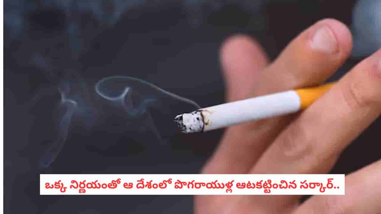 New Zealand: పొగ రహిత దేశంగా న్యూజిలాండ్.. ధూమపానాన్ని రికార్డు స్థాయిలో తగ్గించిన ఆ టర్నింగ్ పాయింట్ ఏంటో తెలుసా!