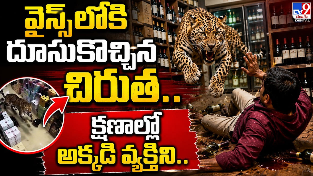 వైన్స్లోకి దూసుకొచ్చిన చిరుత.. క్షణాల్లో అక్కడి వ్యక్తిని.. వైన్స్లోకి దూసుకొచ్చిన చిరుత.. క్షణాల్లో అక్కడి వ్యక్తిని..