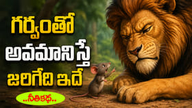 గర్వంతో అవమానిస్తే జరిగేది ఇదే.. సింహం - చిట్టెలుక కథ
