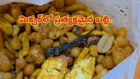 ఖారా మిక్చర్‌లో వేయించిన బల్లి... అది తిన్నవారి పరిస్థితి ఏంటో మర