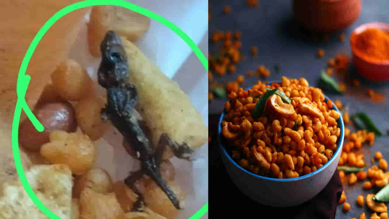 బూందీ మిక్చర్లో కరకరలాడే బల్లి.. స్వీట్ షాప్పై కేసు, భారీ జరిమానా