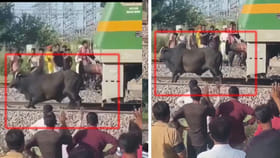 మూగ జీవి కోసం మానవత్వం చాటుకున్న లోకో పైలట్‌!