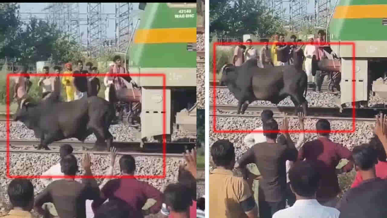 Watch: వేగంగా దూసుకువ వస్తున్న రైలు.. పట్టాలపై చిక్కుకున్న ఎద్దు.. లోకో పైలట్ చేసిన పనికి సెల్యూట్!