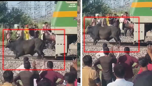 Watch: వేగంగా దూసుకువ వస్తున్న రైలు.. పట్టాలపై చిక్కుకున్న ఎద్దు.. లోకో పైలట్ చేసిన పనికి సెల్యూట్!