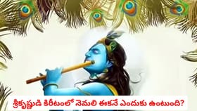 శ్రీకృష్ణుడి కిరీటంలో నెమలి ఈకనే ఎందుకు ఉంటుంది?