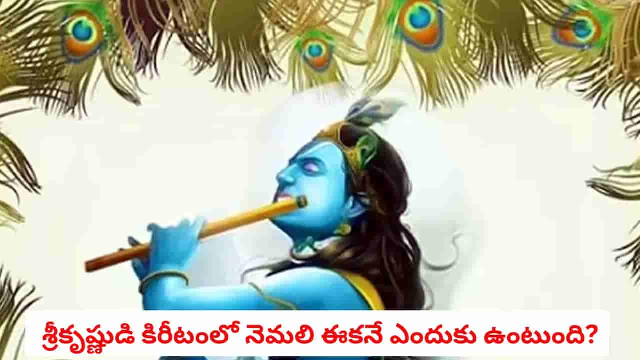 Lord Krishna: శ్రీకృష్ణుడి కిరీటంలో నెమలి ఈకనే ఎందుకు? ఆ రూపం వెనుక ఉన్న అసలు రహస్యం ఇదే