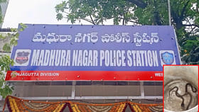 మధురానగర్ పోలీస్ స్టేషన్‌లో నాగుపాముల కలకలం.. బుసలు కొడుతున్న..