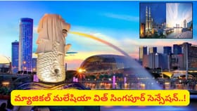 హైదరాబాద్ నుంచి మలేషియా-సింగపూర్‌కు IRCTC అదిరిపోయే 7 రోజుల టూర్
