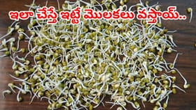 బరువు తగ్గేందుకు సూపర్ ఫుడ్.. ఇలా చేస్తే ఇట్టే మొలకలు వస్తాయ్..