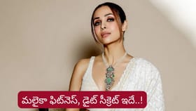 బాలీవుడ్ ఫిట్‌నెస్ క్వీన్ మలైకా డైట్ ప్లాన్, ఫిట్‌నెస్ సీక్రెట్