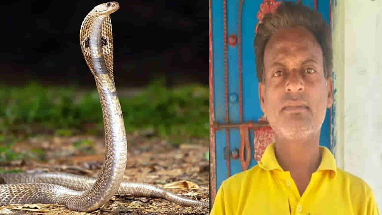 సైకోను మించి ఉన్నవ్ భయ్యా.. పాములను న్యూడుల్స్ లెక్క నమిలేశాడు.. వీడి కథ తెలిస్తే దిమ్మతిరిగిపోద్ది..