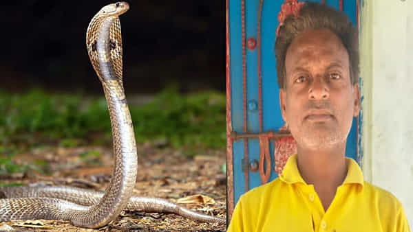 సైకోను మించి ఉన్నవ్ భయ్యా.. పాములను న్యూడుల్స్ లెక్క నమిలేశాడు.. వీడి కథ తెలిస్తే దిమ్మతిరిగిపోద్ది..