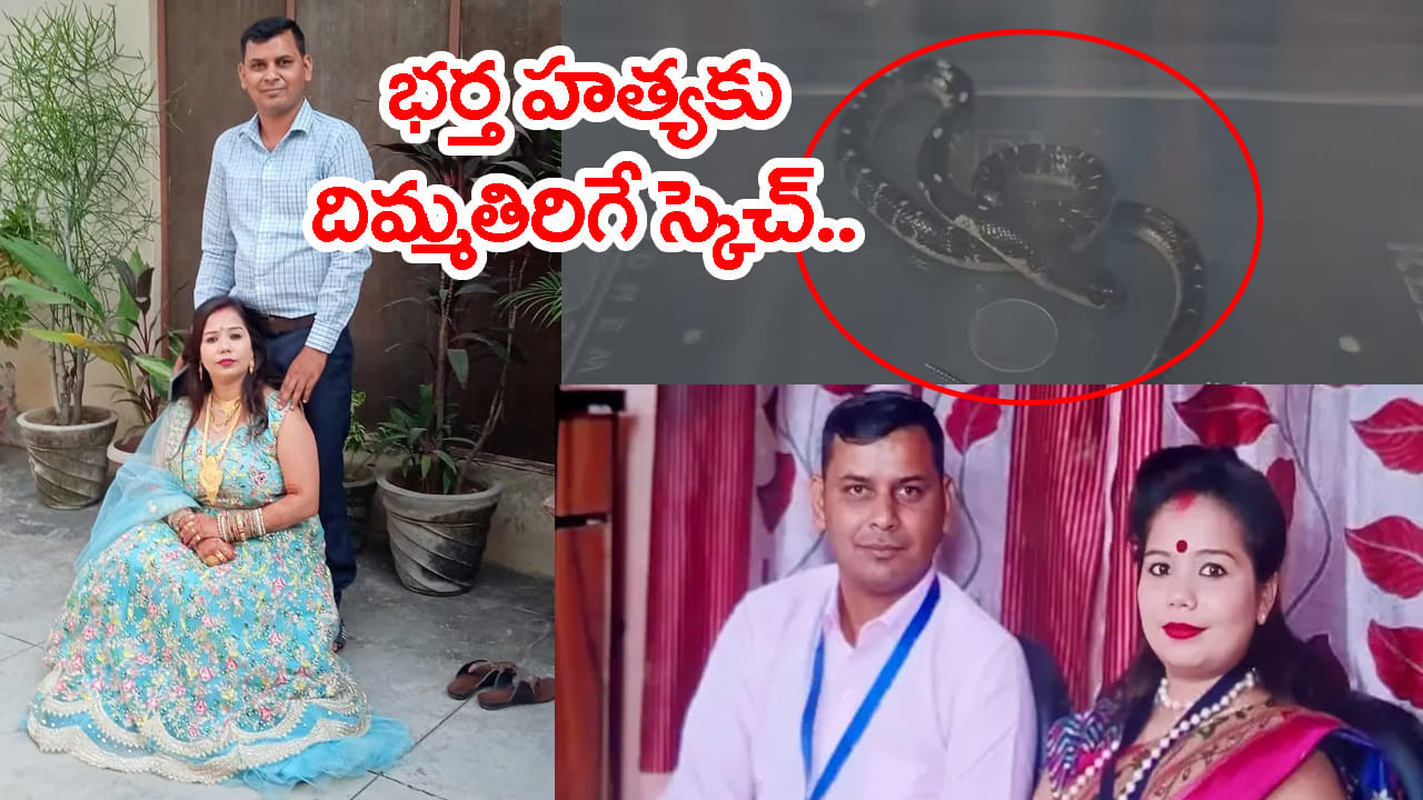 భర్తకు మత్తు మాత్రలు కలిపిన పాలిచ్చి.. దుప్పట్లో పాము వదిలి.. చంపేసింది!