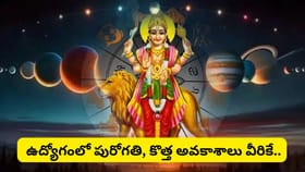 అరుదైన ద్విద్వాదశ యోగం: ఈ రాశుల వారికి ఊహించని ధనలాభాలు.. మీ రాశి
