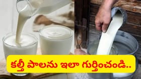 పాలు ఇలా కనిపిస్తున్నాయా.. ? అయితే కల్తీ జరిగినట్లే..