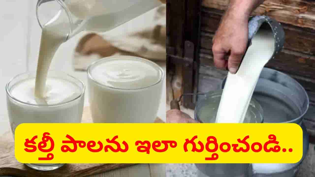 Milk: చిటికెలో పాల కల్తీని గుర్తించోచ్చు.. ఇంట్లోనే ఈ సింపుల్ ట్రిక్స్ పాటిస్తే చాలు..