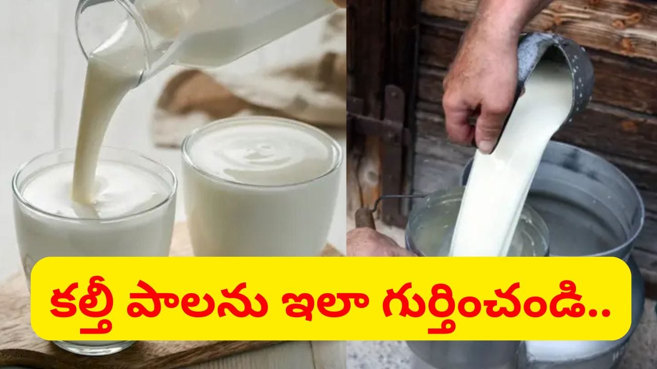 Milk: చిటికెలో పాల కల్తీని గుర్తించోచ్చు.. ఇంట్లోనే ఈ సింపుల్ ట్రిక్స్ పాటిస్తే చాలు..