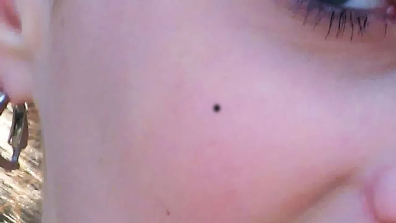 Mole 4