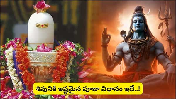 సోమవారం శివారాధన ఇలా చేస్తే శివకటాక్షం.. భక్తితో చేసే ఈ పూజతో శుభఫలితాలు పొందండి!