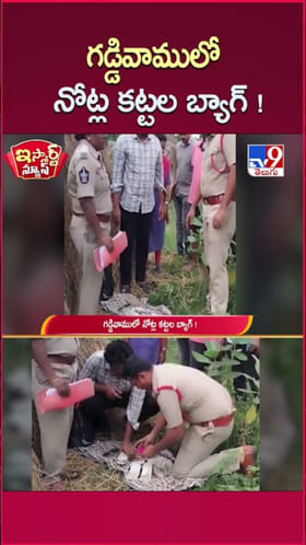 గడ్డివాములో కనిపించిన కరెన్సీ కట్టలు.. అసలు మ్యాటర్ ఏమంటే..?