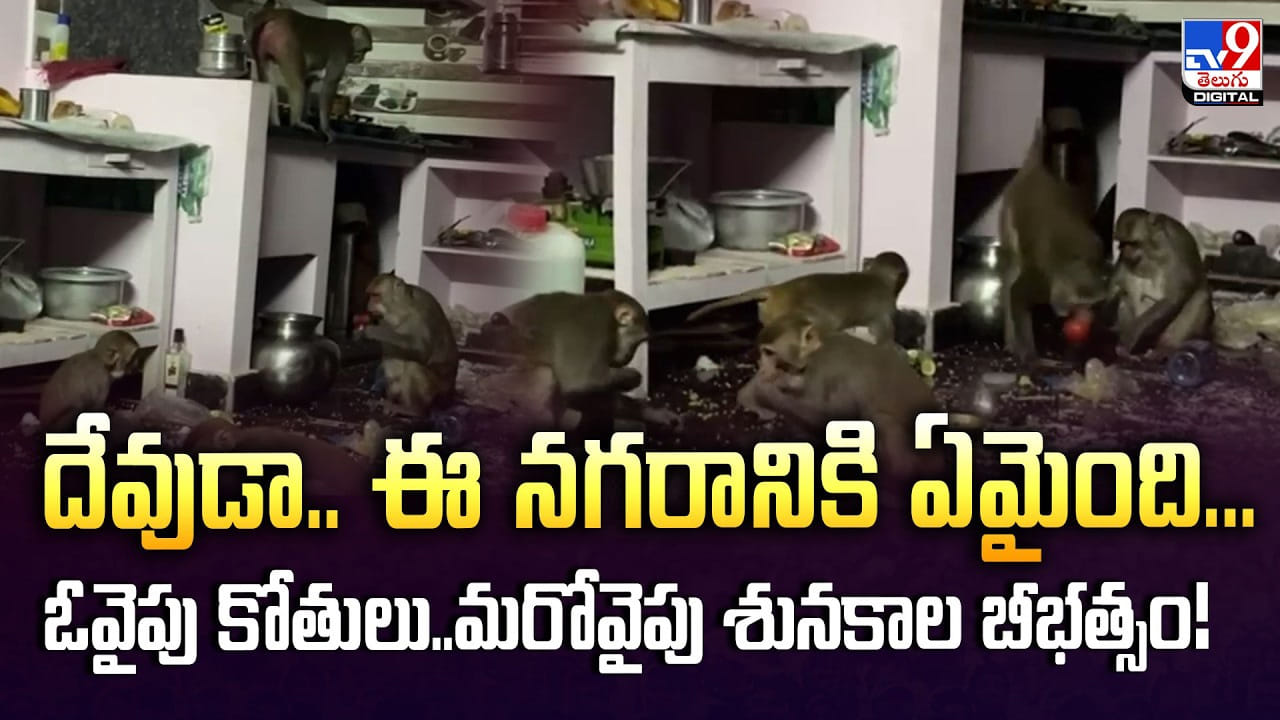 దేవుడా.. ఈ నగరానికి ఏమైంది.. ఓవైపు కోతులు..మరోవైపు శునకాల బీభత్సం!