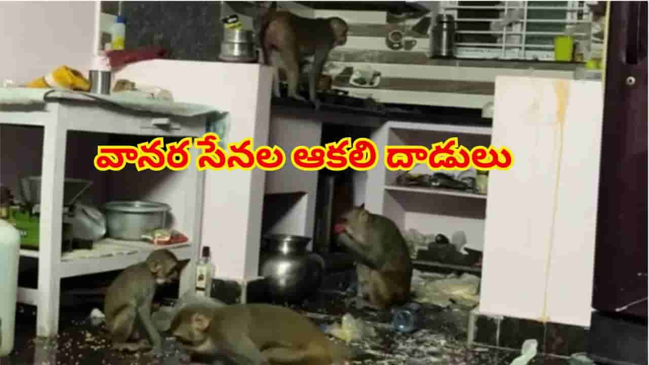 Watch: ఇంట్లో కోతుల కిష్కిందకాండ.. బయట వీధి కుక్కల స్వైర విహారం! నగర జనం బెంబేలు