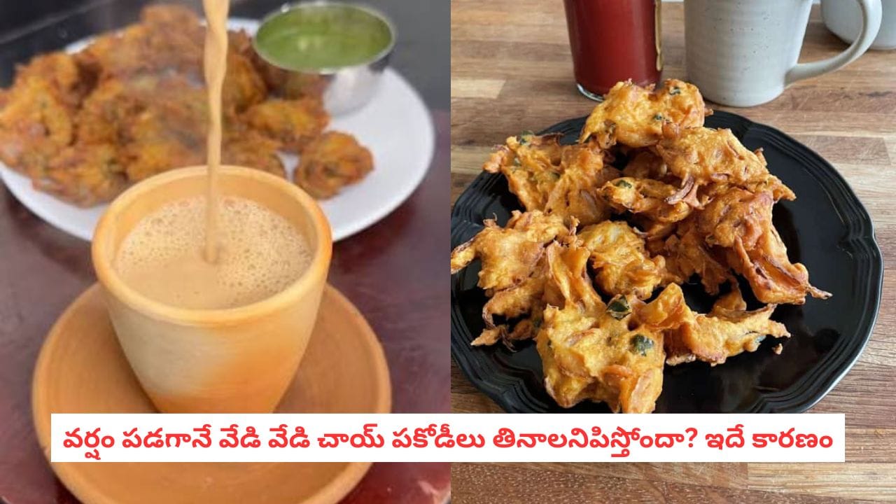 Monsoon Cravings: వాన పడగానే వేడివేడి ఛాయ్, కరకరలాడే పకోడీలే గుర్తొస్తున్నాయా?.. దీని వెనుక అసలు సైన్స్ ఇదీ!