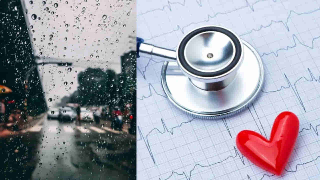 వర్షాకాలంలో ఆస్పత్రి మెట్లు ఎక్కాల్సిన అవసరం లేదు.. ఈ సింపుల్ టిప్స్ పాటిస్తే చాలు..