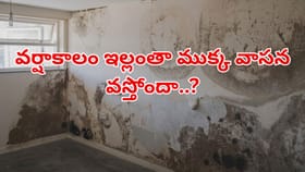 వర్షాకాలంలో గోడల బ్యాడ్ స్మెల్‌తో విసిగిపోయారా? ఇలా చెక్ పెట్టండి